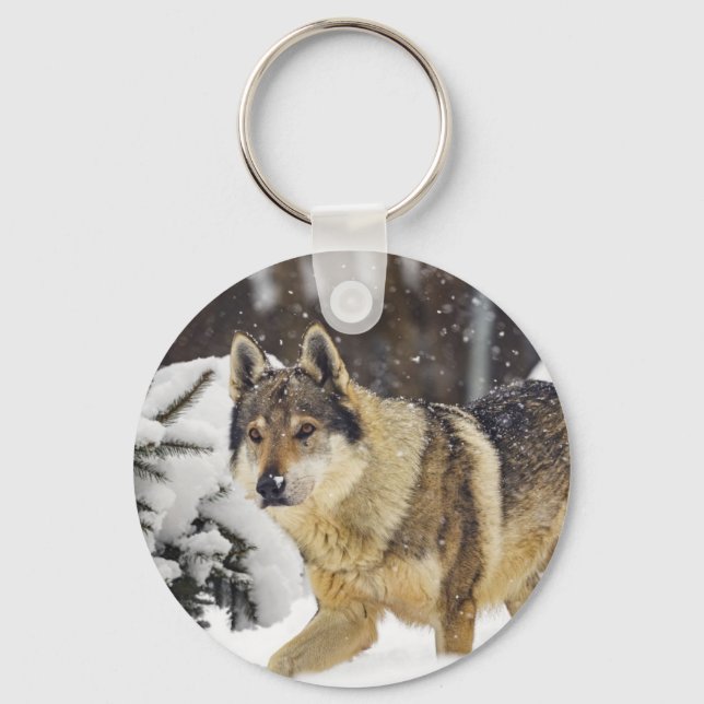 Big Beautiful Grey Wild Wolf in snow Key Ring (Front)