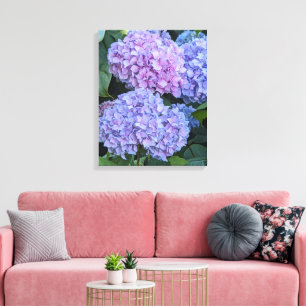 Big Beautiful Hydrangea Blooms Floral Canvas Print