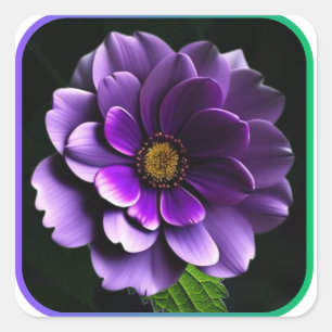Big Beautiful Purple Roses Rose #8 Square Sticker