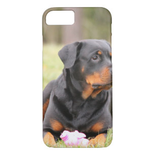 Big Beautiful Rottweiler Case-Mate iPhone Case