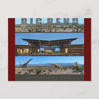 BIG BEND NAT’L PARK-Texas-Fossil Exhibit- Postcard