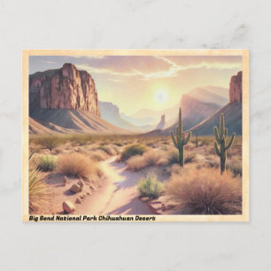 Big Bend National Park Chihuahuan Desert Vintage Postcard