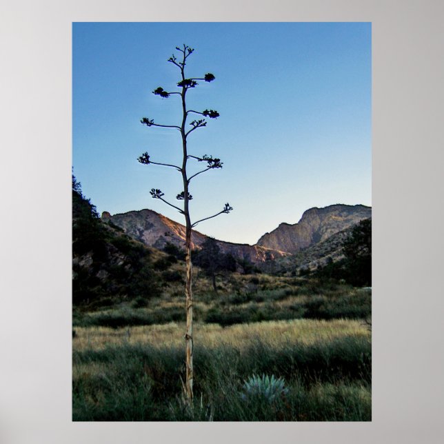 Big Bend National Park, Texas Poster (Front)