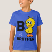 Big Bird | B is for Brother