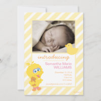 Big Bird Birth Announcement