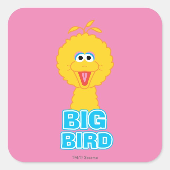 Big Bird Classic Style Square Sticker (Front)