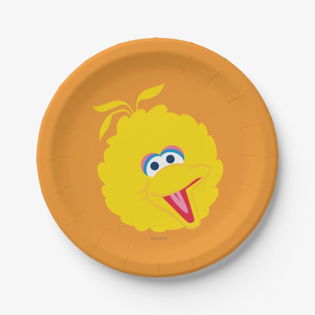 Big Bird Face Paper Plate (Front)