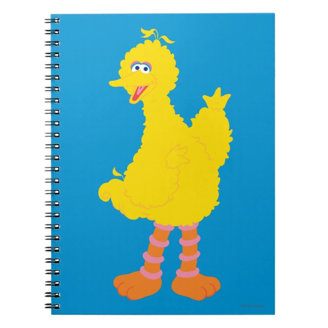 Big Bird Graphic Spiral Notebook (Front)