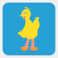 Big Bird Graphic