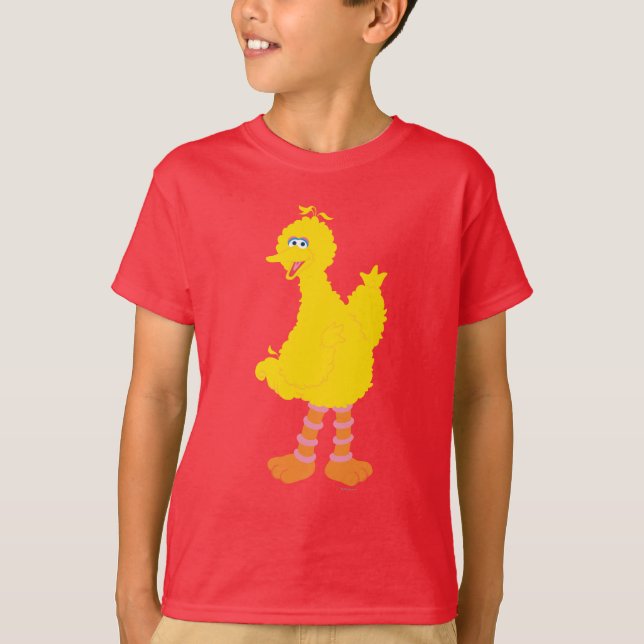Big Bird Graphic T-Shirt (Front)