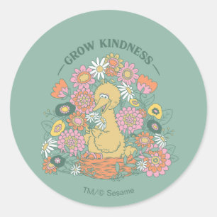 Big Bird   Grow Kindness Floral Graphic Classic Round Sticker
