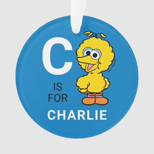 Big Bird | Personalised Name with Photo Ornament (Front)