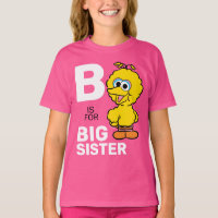 Big Bird | S is for Big Sister