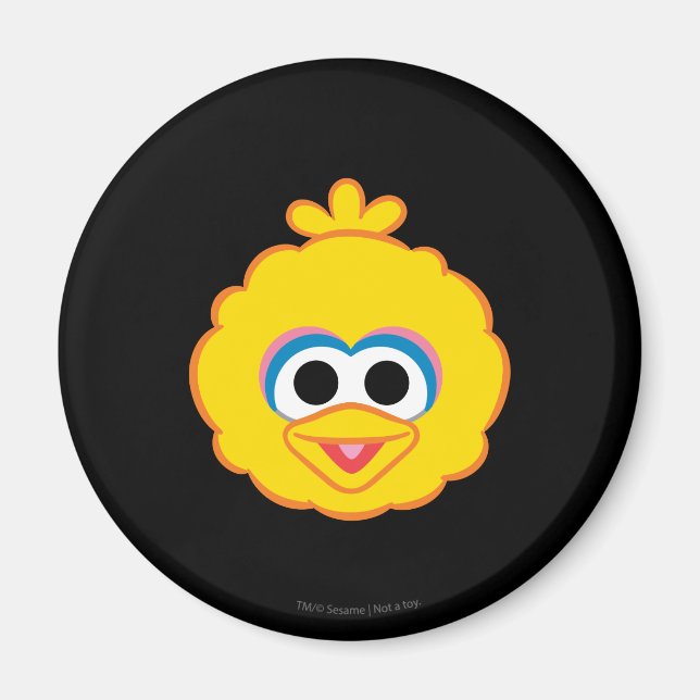 Big Bird Smiling Face Magnet (Front)