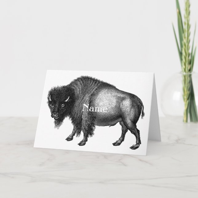 Big Bison Buffalo Thunder_Cove Card (Front)