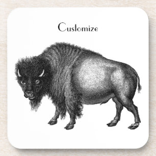 Big Bison Buffalo Thunder_Cove Coaster