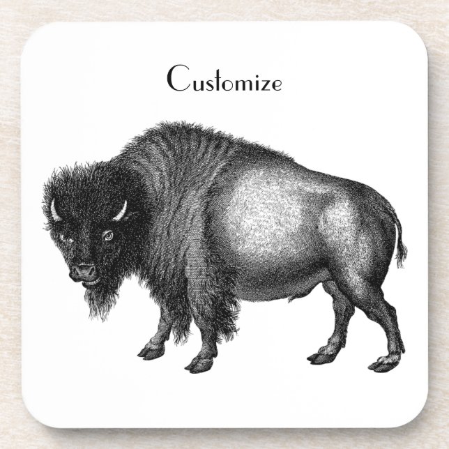 Big Bison Buffalo Thunder_Cove  Coaster (Front)