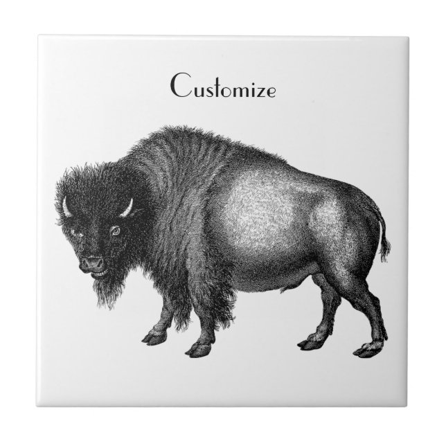 Big Bison Buffalo Thunder_Cove    Tile (Front)