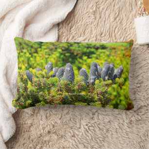 Big Blue Korean Fir and Cones Lumbar Cushion