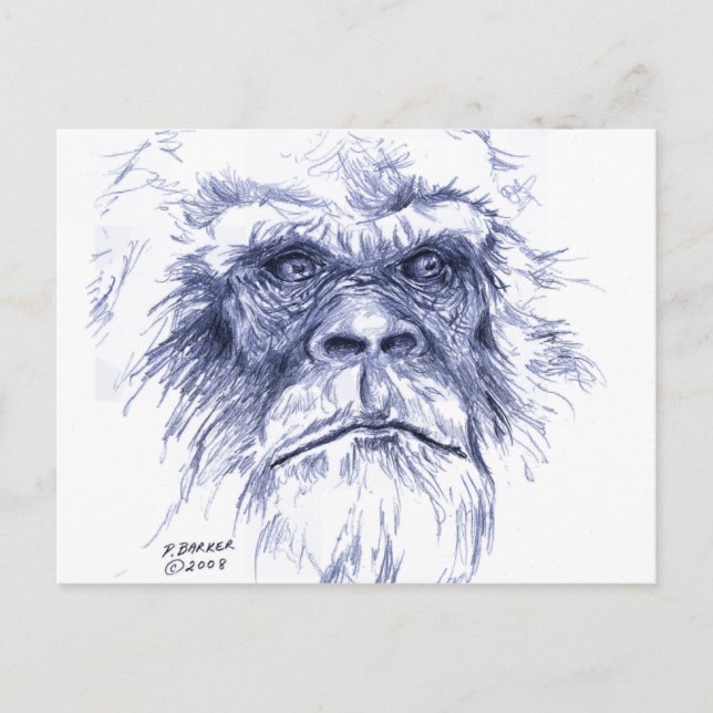 Big Blue Sasquatch Postcard (Front)