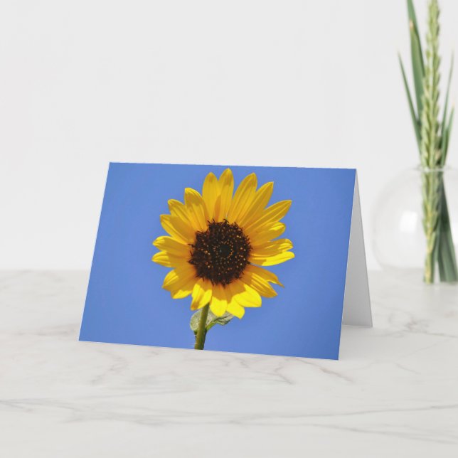 Big Blue Sky and Wild Sunflower Note Card (Front)