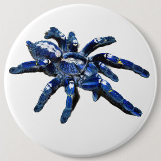 Big blue Tarantula spider, giant spider 6 Cm Round Badge