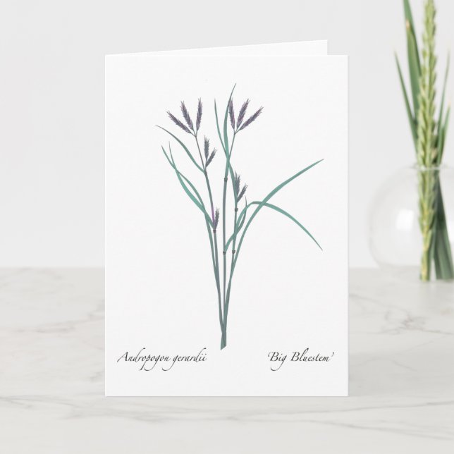 Big Bluestem Blank Greeting Card (Front)