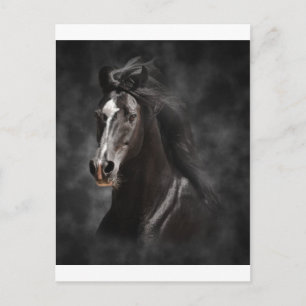 Big, Bold, and Proud Postcard