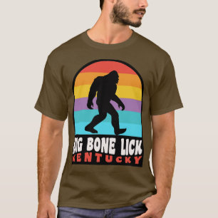 Big Bone Lick State Park Kentucky Bison T-Shirt