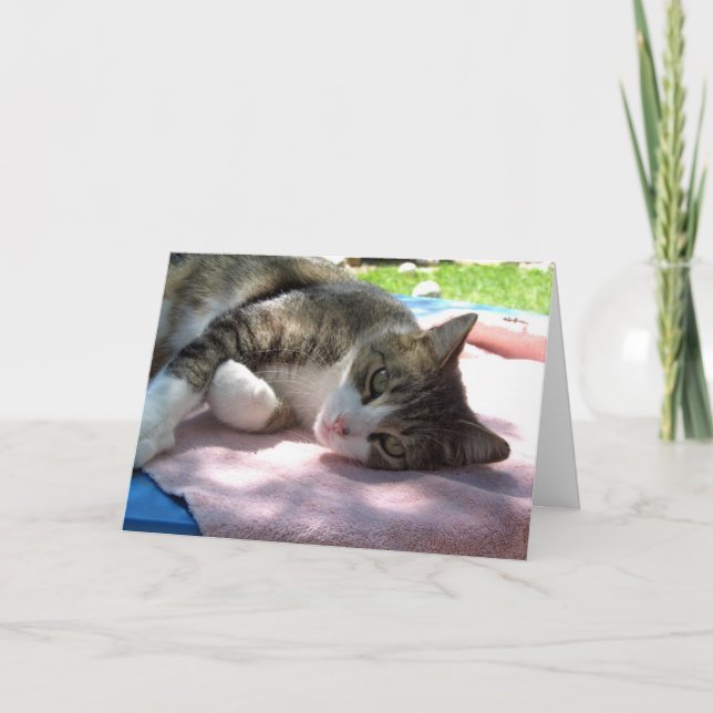 Big Boy Cat Relaxing Birthday Card (Front)