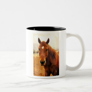 Big Braxton Mug