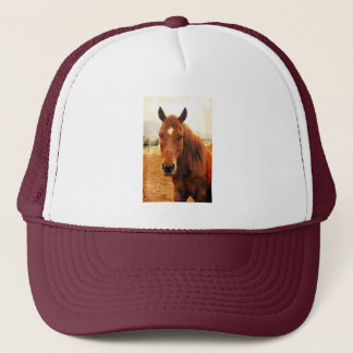 Big Braxton Trucker Hat