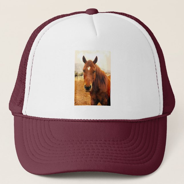 Big Braxton Trucker Hat (Front)