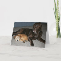 Big Brother Birthday Card