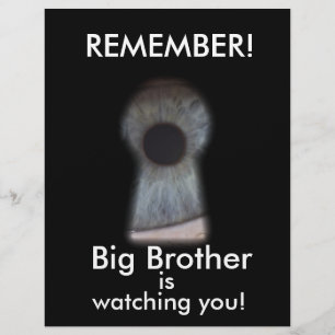 Big brother is watching you flyer