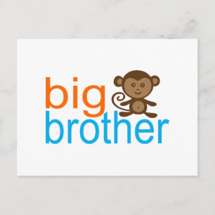 Big Brother Monkey Postcard