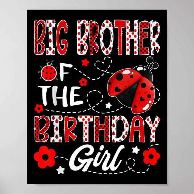 Big Brother Of The Birthday Girl Ladybug Big Broth Poster (Front)