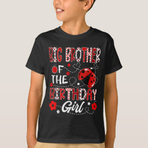 Big Brother Of The Birthday Girl Ladybug Big Broth T-Shirt