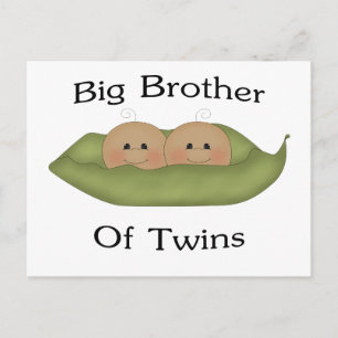 Big Brother Of Twins Postcard