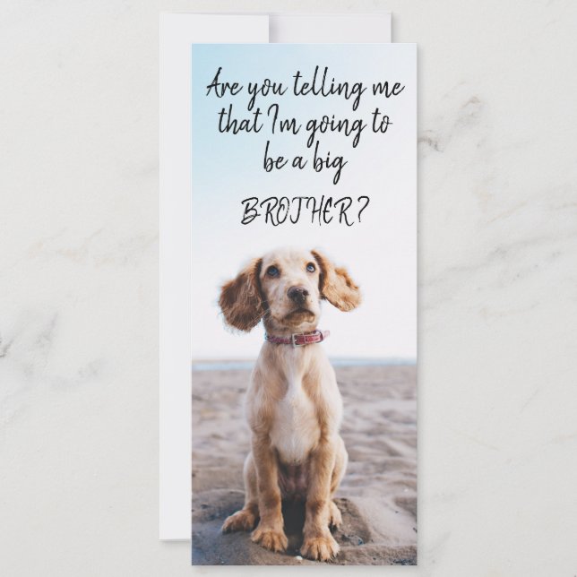 Big Brother/Sister Pet Pregnancy Announcement (Front)