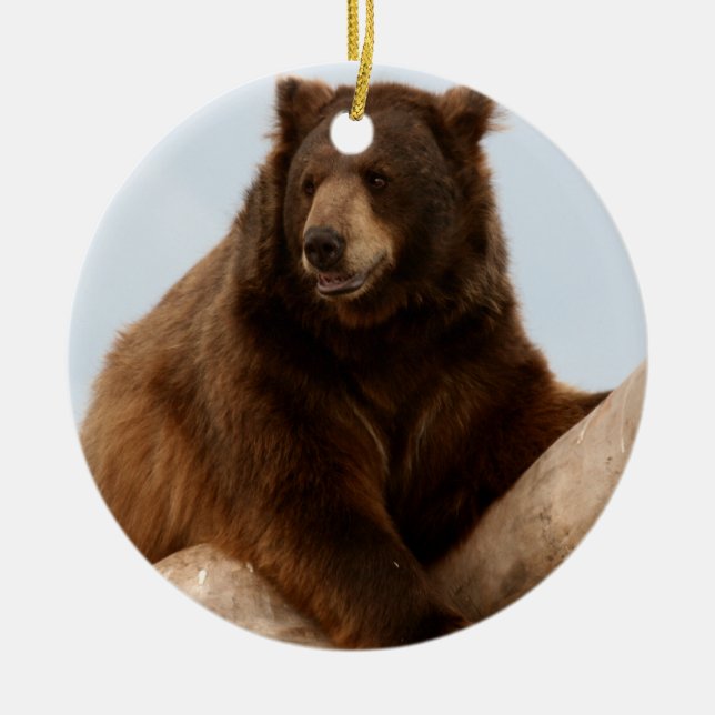 Big Brown Bear Ceramic Tree Decoration (Front)