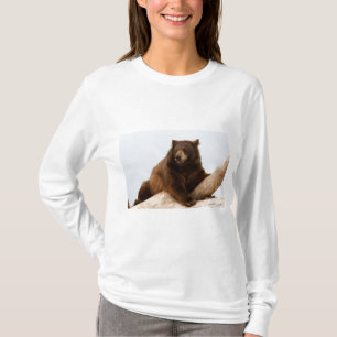Big Brown Bear on a Log T-Shirt