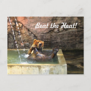 Big Brown Bear Taking a Bath Postcard