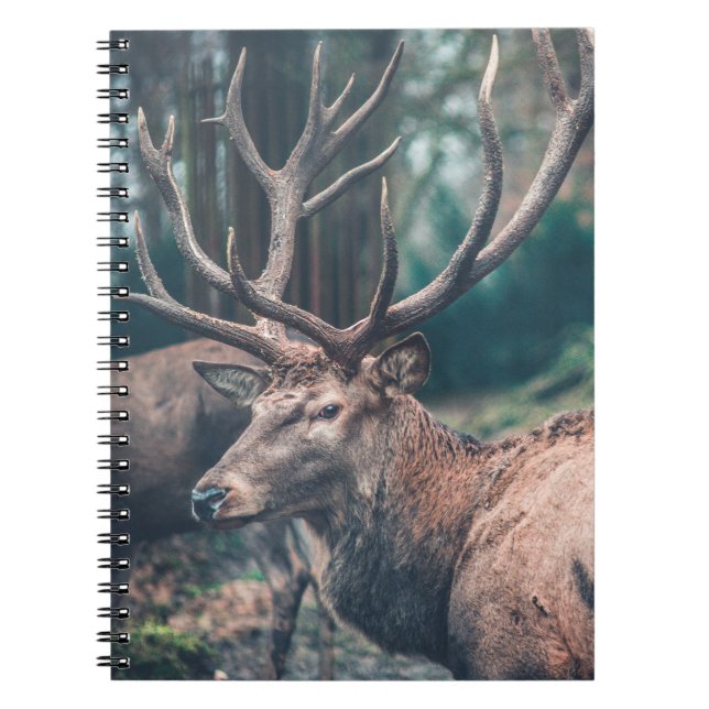 Big Brown Buck Deer with Large Antlers Notebook (Front)