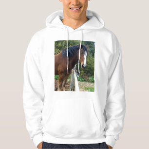 Big Brown Clydesdale Horse, Hoodie