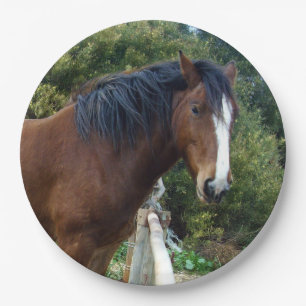 Big Brown Clydesdale Horse, Paper Plate