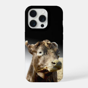 Big Brown Cow Munching On Hay, iPhone 15 Pro Case
