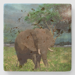 Big Brown Elephant Grazing, Stone Coaster