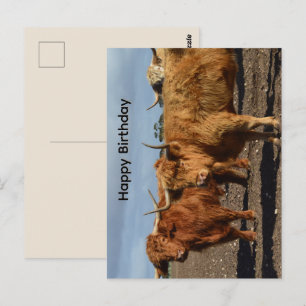 Big Brown Highland Cows, Birthday Card