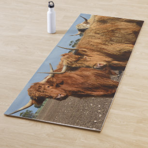 Big Brown Highland Cows, Yoga Mat, Mat